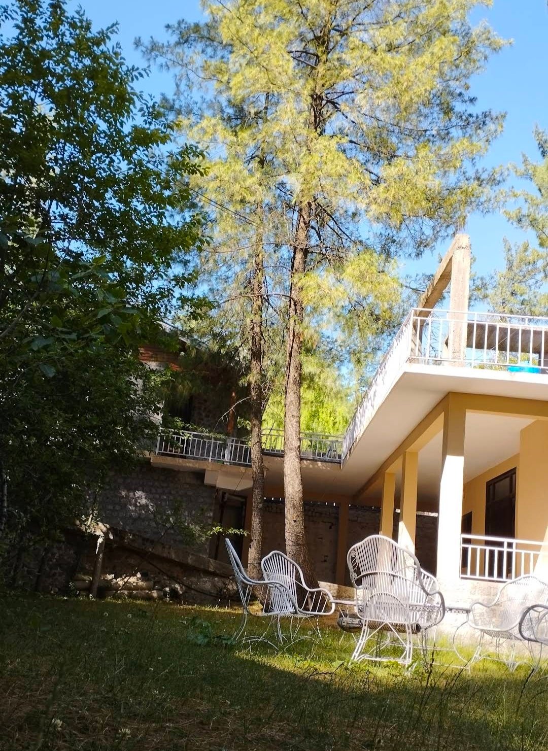 Pine Tree Resort