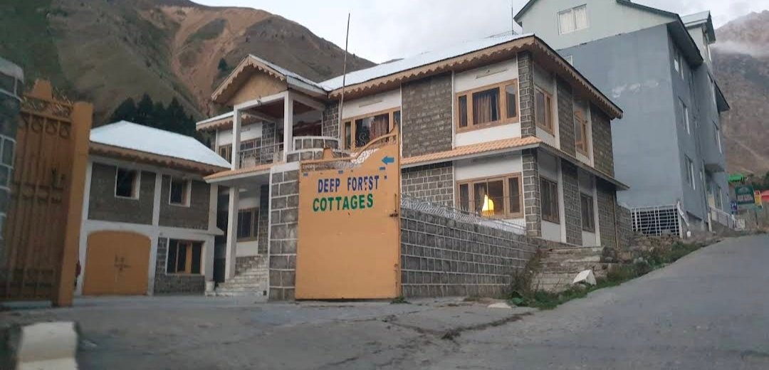 Hotel Deep Forest