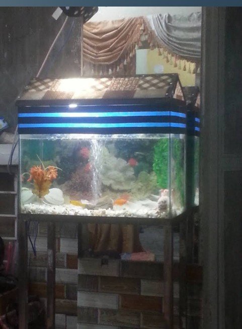 Arisha Beauty Parlor and Boutique