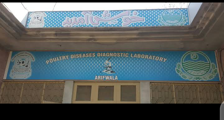 Poultry Diagnostic Laboratory Arifwala