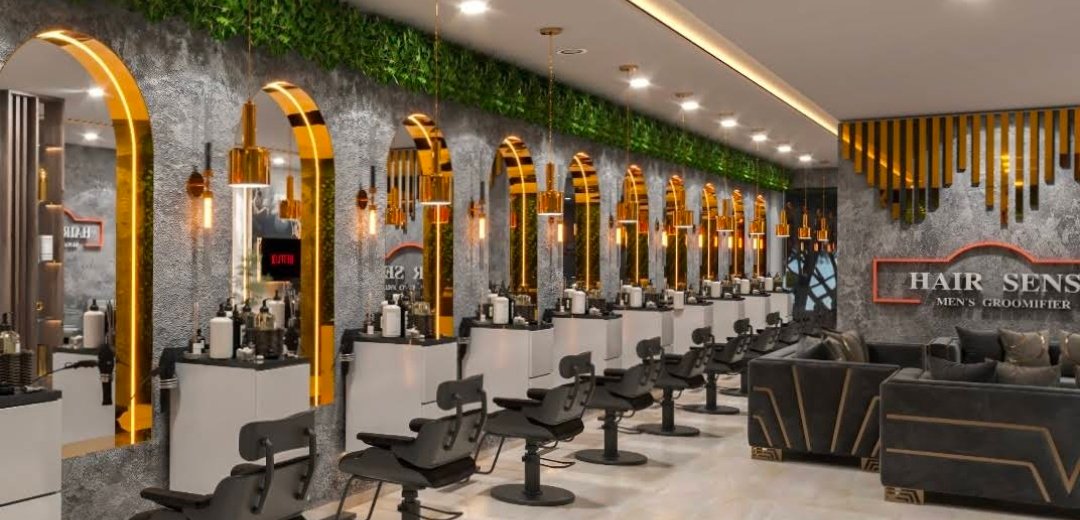 Hairsense DHA 6