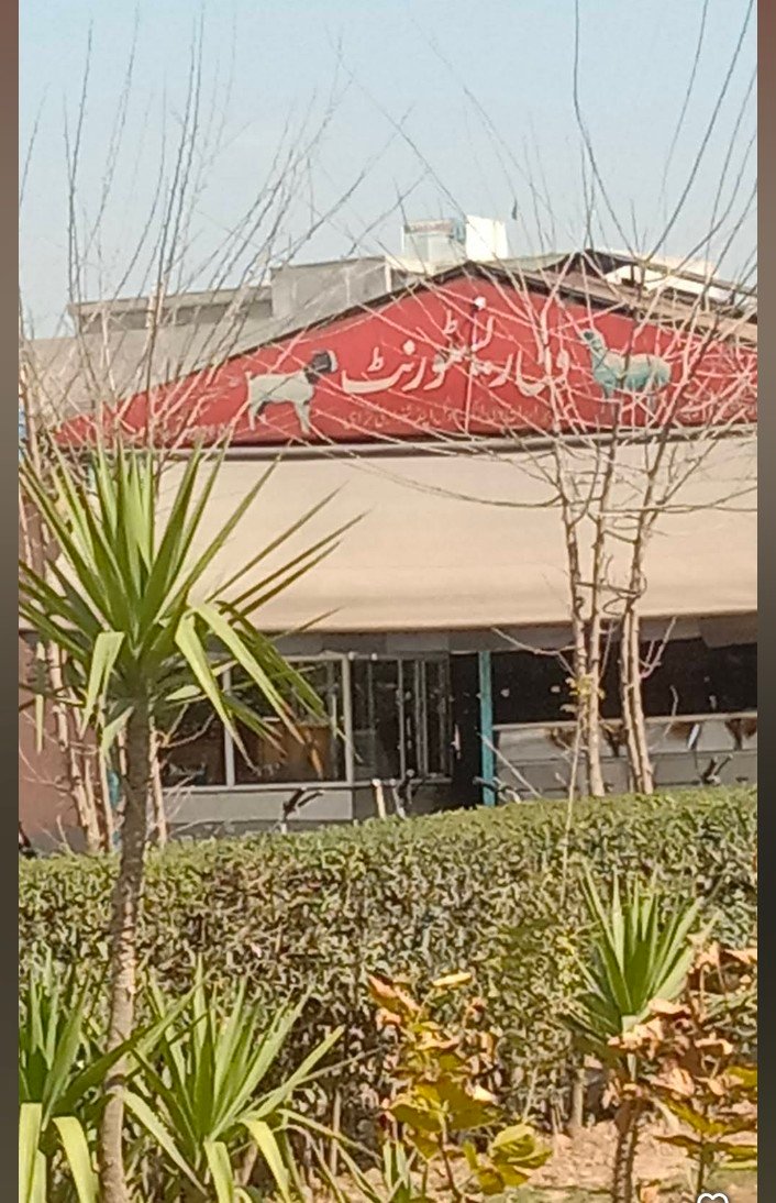 Wali Restaurant and Shinwari Karhai