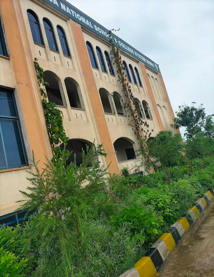 HAFSA National School System